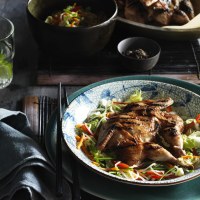 BBQ Hoi Sin Butterfly Quail, Vietnamese Coleslaw and Soy Vinaigrette